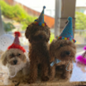 Meet your Posher, Lilly